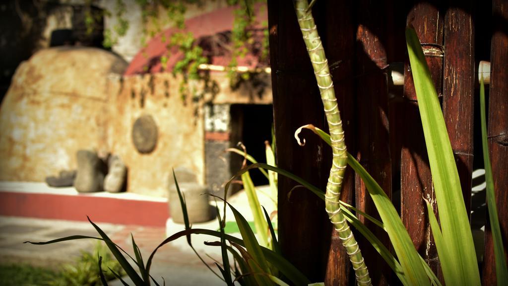 Suites La Flor Sagrada Xochitepec Buitenkant foto