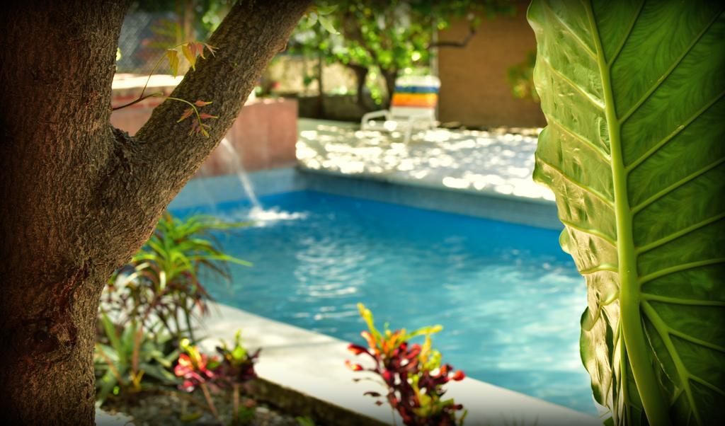 Suites La Flor Sagrada Xochitepec Buitenkant foto