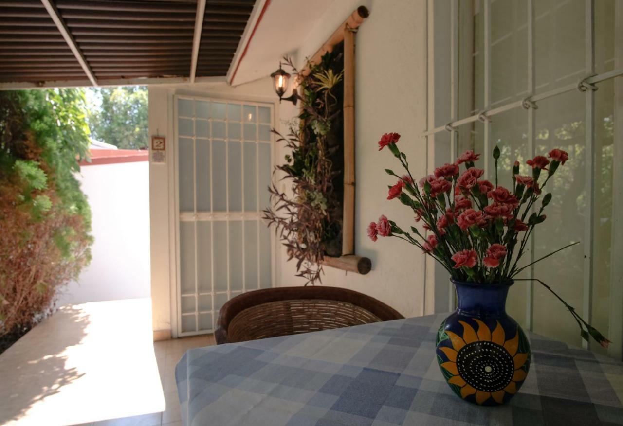 Suites La Flor Sagrada Xochitepec Buitenkant foto